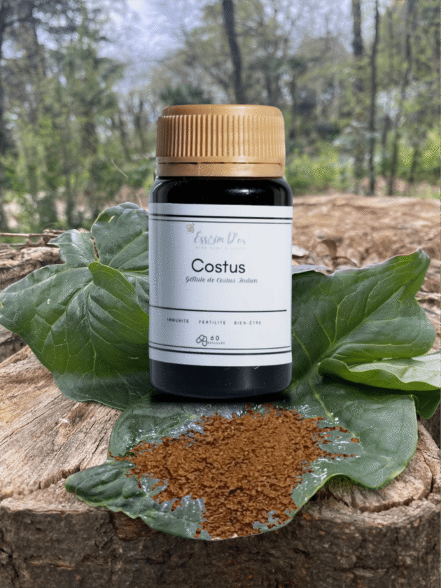 Gellules Costus Indien
